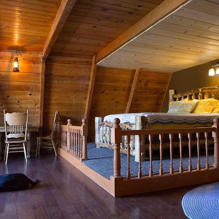 Hicksville Pines Chalets & Motel Idyllwild Ngoại thất bức ảnh