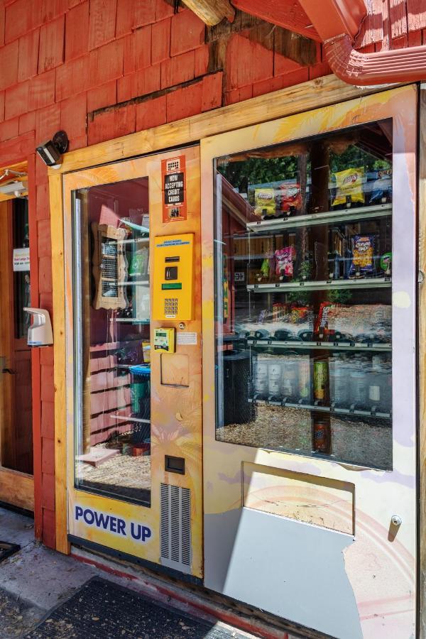 Hicksville Pines Chalets & Motel Idyllwild Ngoại thất bức ảnh