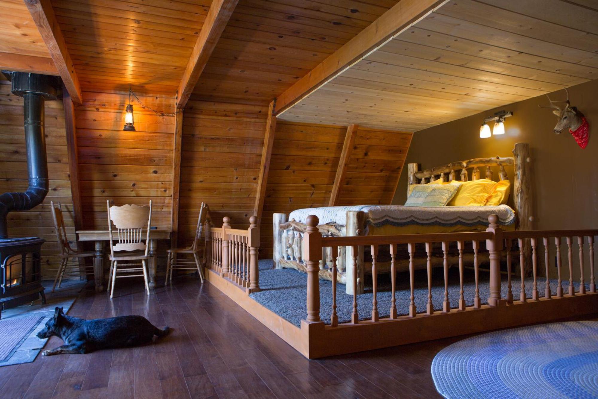 Hicksville Pines Chalets & Motel Idyllwild Ngoại thất bức ảnh